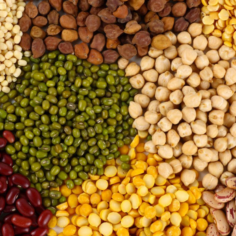 Pulses and Lentils ALQATARA